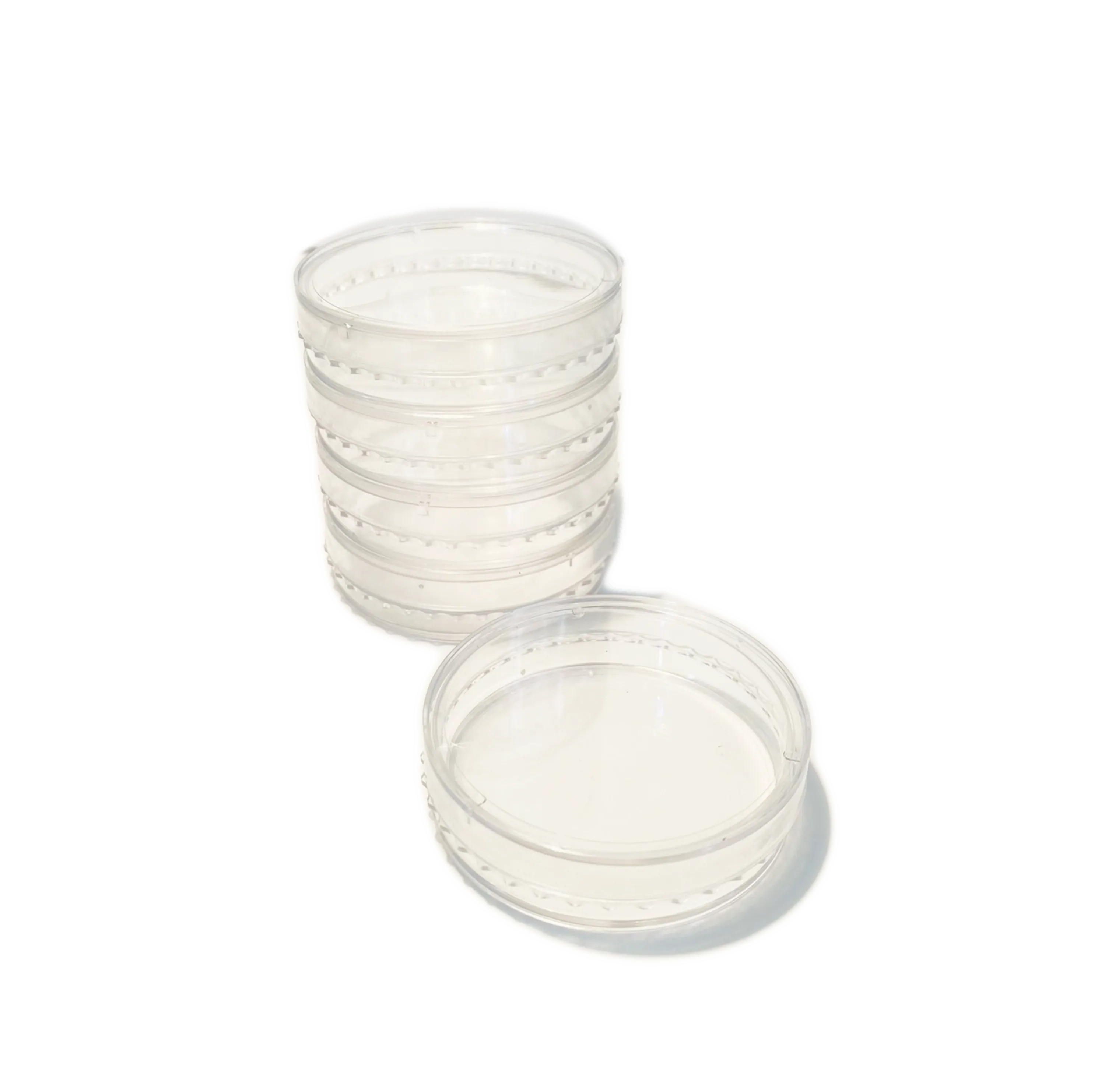 APA IVF پتری دیش IVF کشت سلول آپا APA kalazist کالا زیست APA IVF پتری دیش IVF کشت سلول آپا APA kalazist کالا زیست